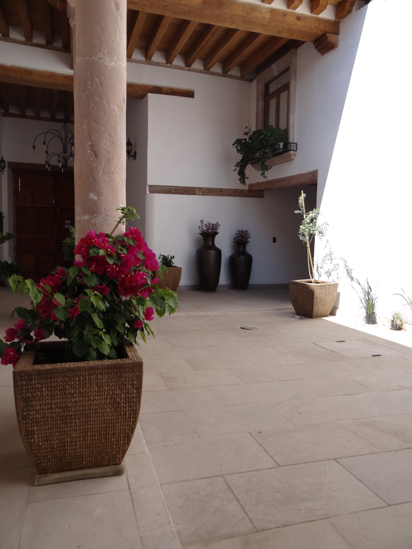 Patio interior de Casa Cairo con columnas de cantera y buganvilias