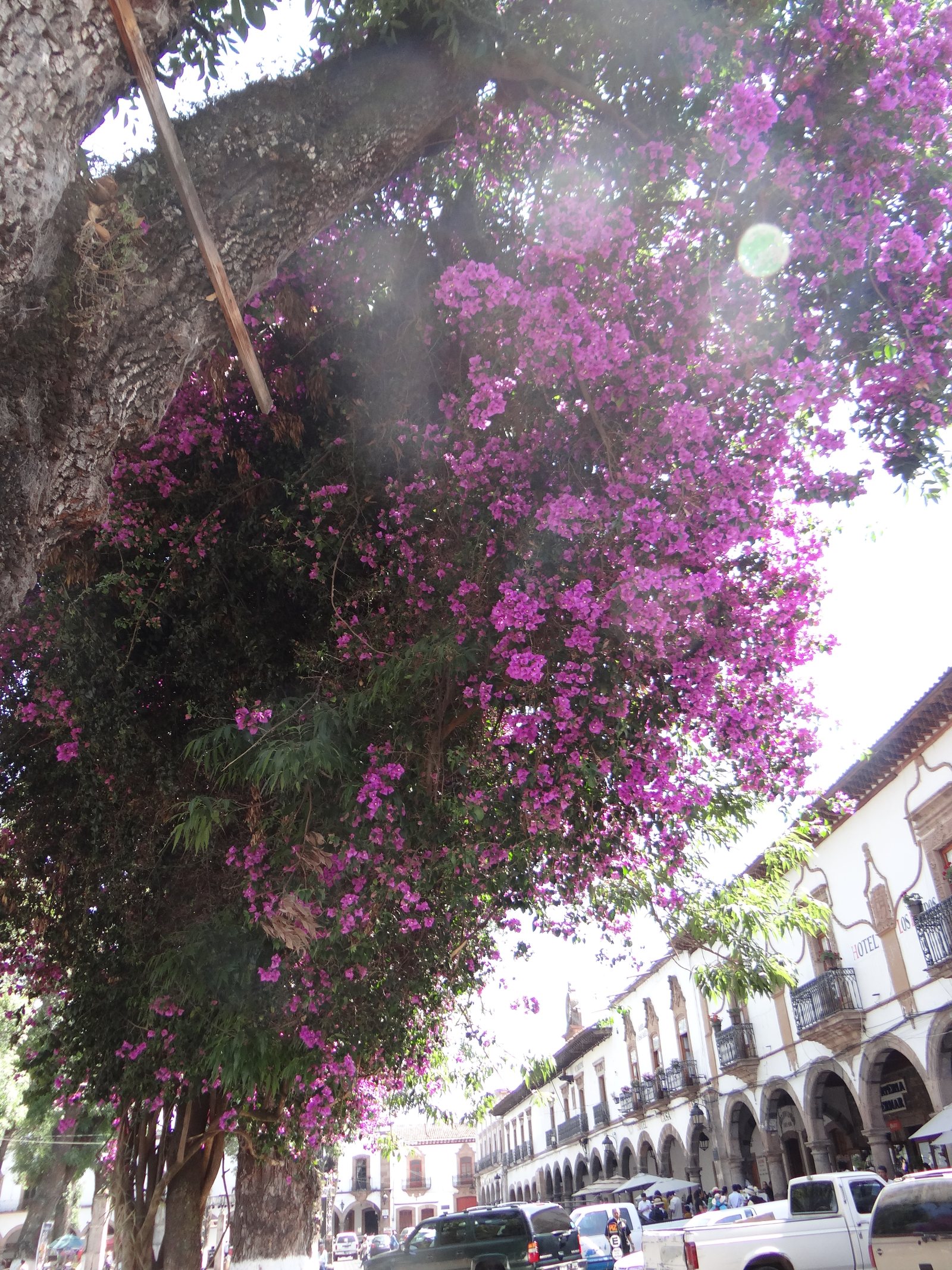Calle colonial con buganvilias y arcadas