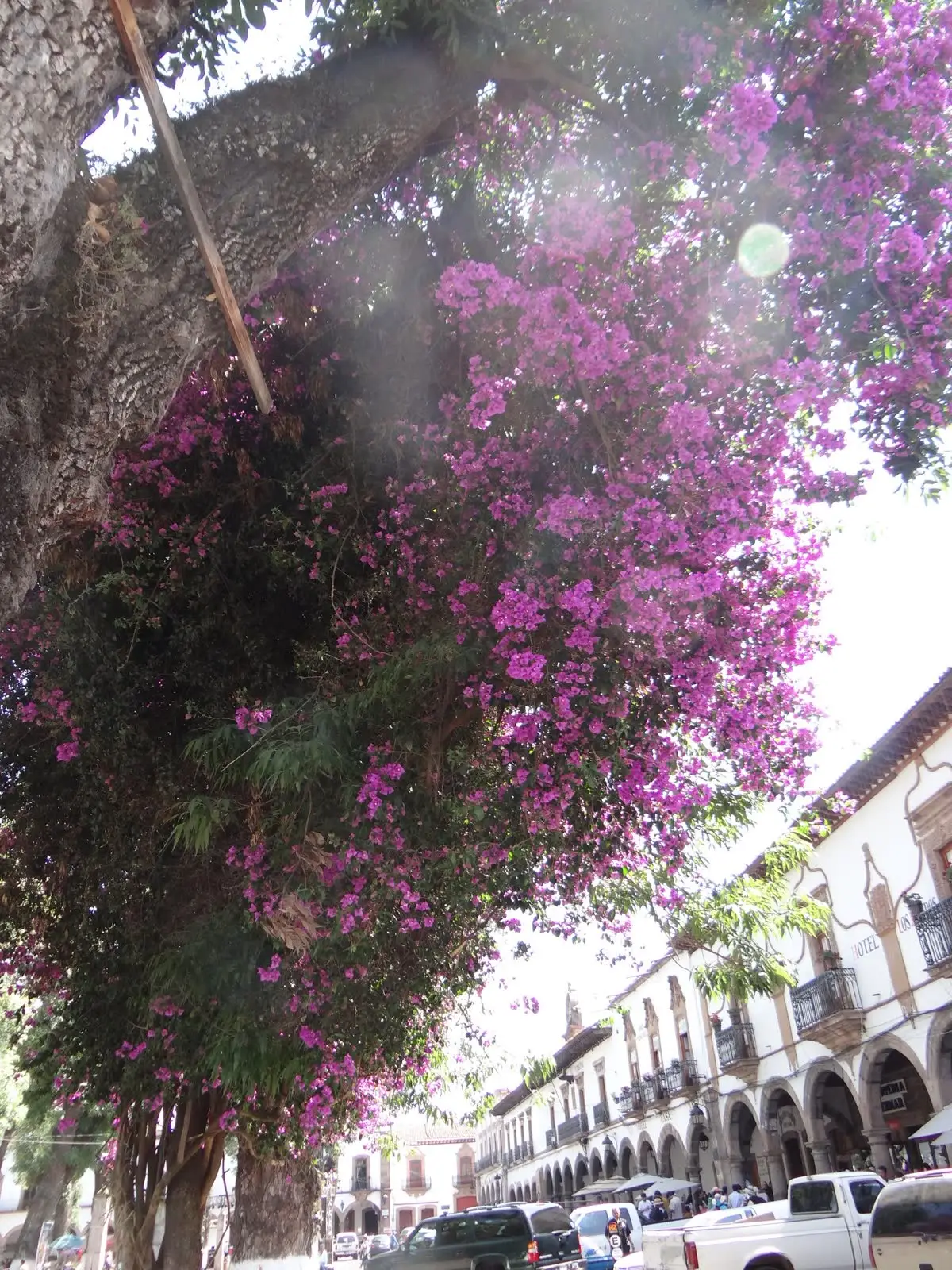 Calle colonial con buganvilias y arcadas