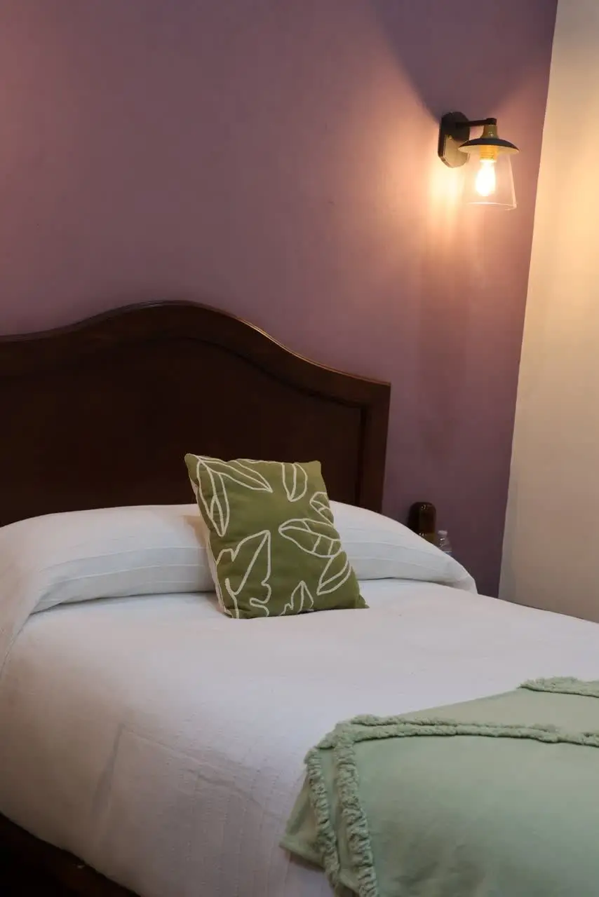 Detalle de cojín bordado en la recámara matrimonial